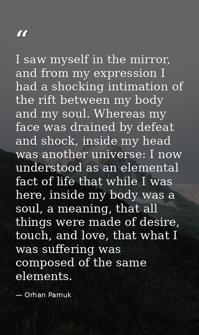I saw myself in the mirror, and from my expression I had a shocking intimation of the rift between my body and my soul.  — Orhan Pamuk