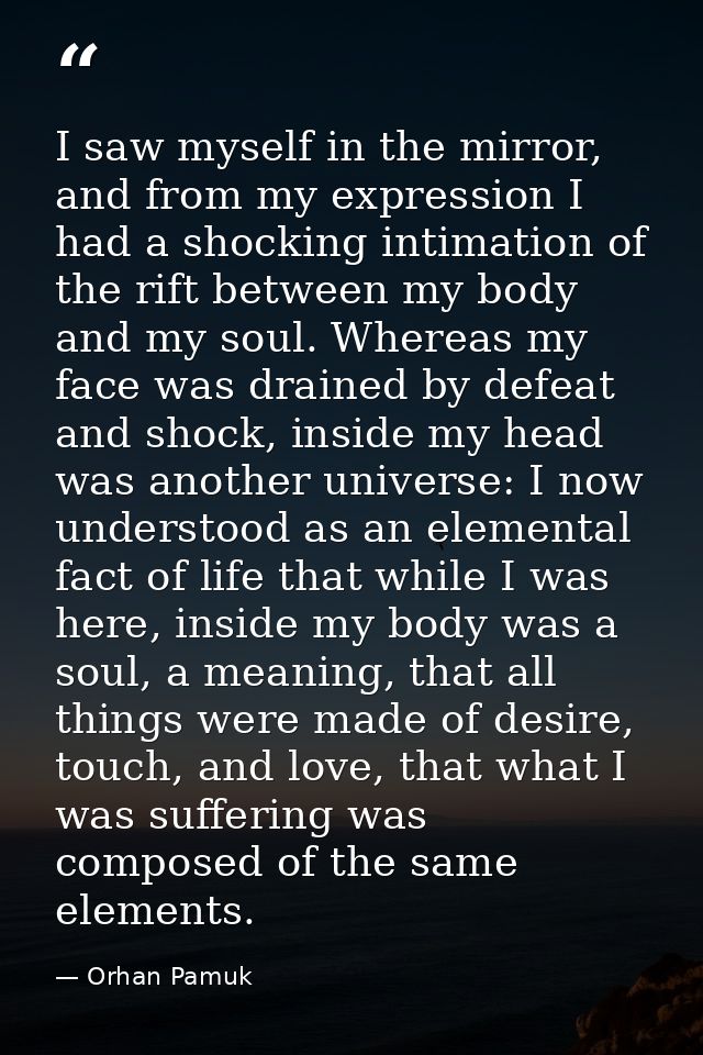 I saw myself in the mirror, and from my expression I had a shocking intimation of the rift between my body and my soul.  — Orhan Pamuk