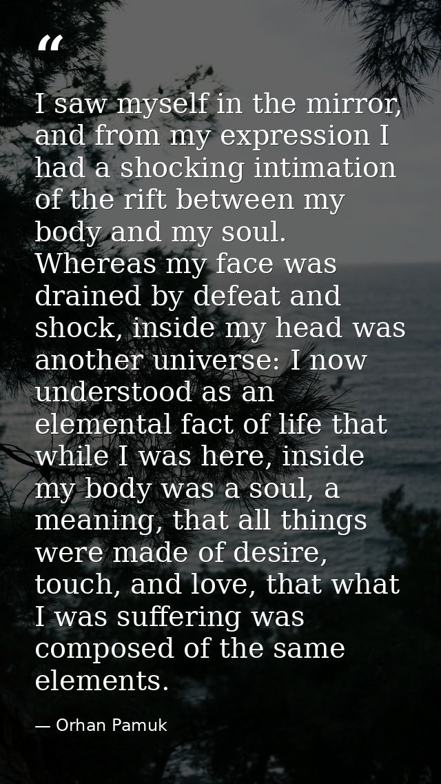 I saw myself in the mirror, and from my expression I had a shocking intimation of the rift between my body and my soul.  — Orhan Pamuk