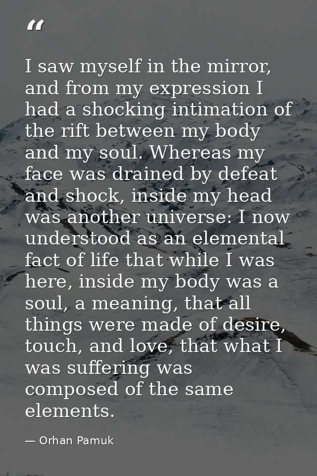 I saw myself in the mirror, and from my expression I had a shocking intimation of the rift between my body and my soul.  — Orhan Pamuk