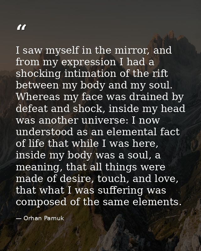 I saw myself in the mirror, and from my expression I had a shocking intimation of the rift between my body and my soul.  — Orhan Pamuk