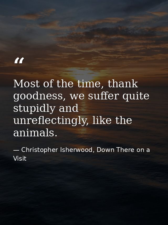 Most of the time, thank goodness, we suffer quite stupidly and unreflectingly, like the animals. — Christopher Isherwood, Down There on a Visit