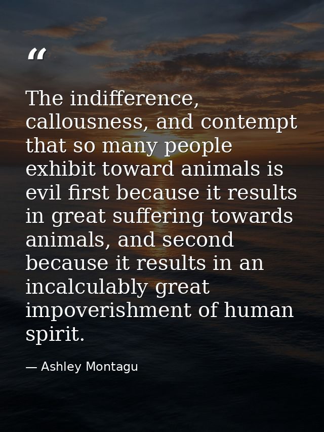 The indifference, callousness, and contempt that so many people exhibit toward animals is evil first because it results  — Ashley Montagu