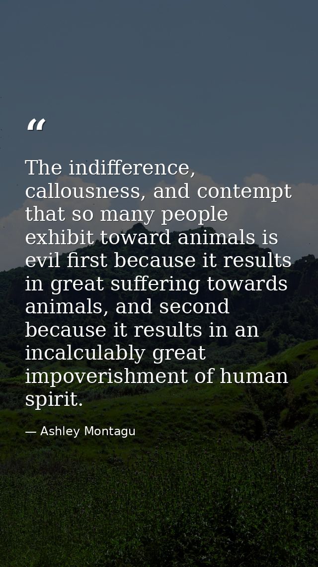 The indifference, callousness, and contempt that so many people exhibit toward animals is evil first because it results  — Ashley Montagu