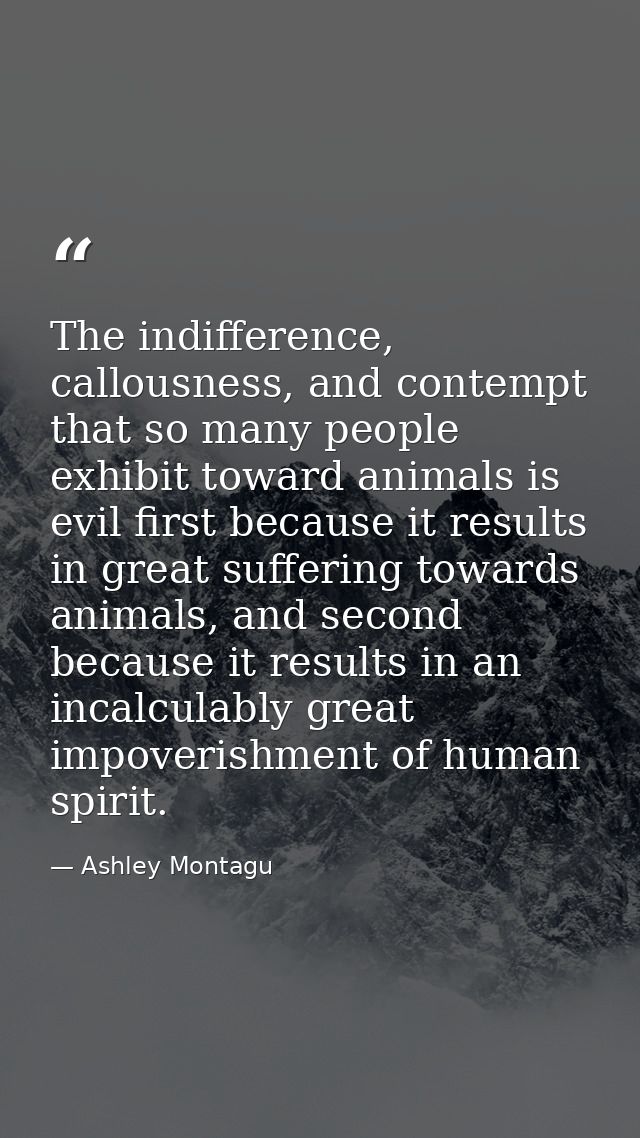 The indifference, callousness, and contempt that so many people exhibit toward animals is evil first because it results  — Ashley Montagu