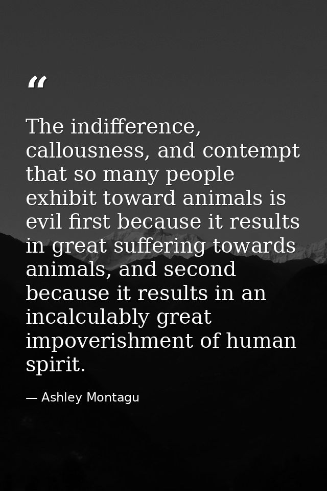 The indifference, callousness, and contempt that so many people exhibit toward animals is evil first because it results  — Ashley Montagu