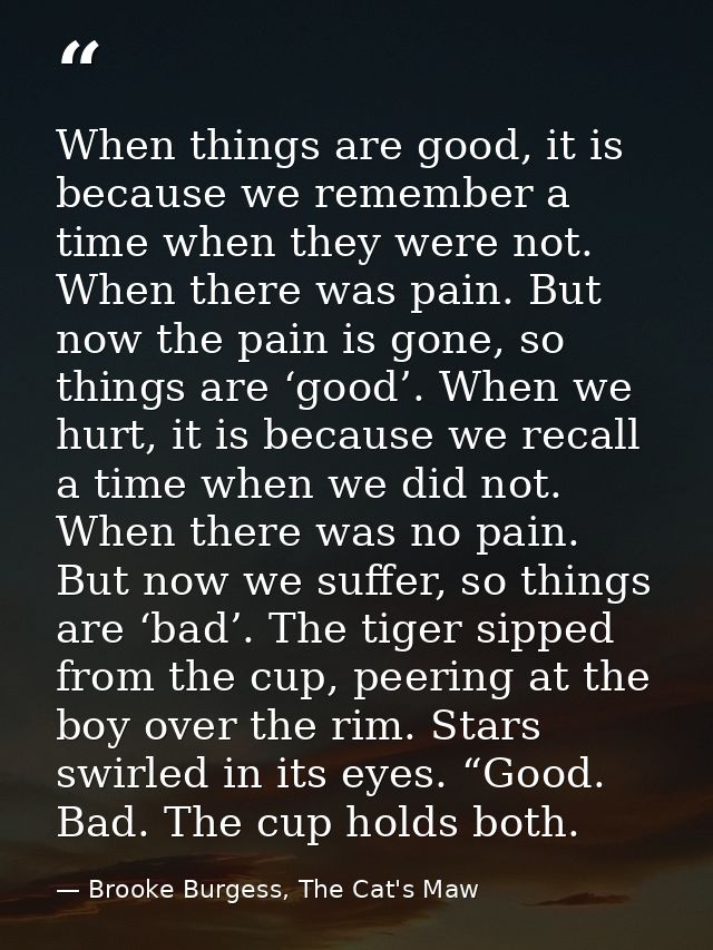 When things are good, it is because we remember a time when they were not. When there was pain. But now the pain is gone — Brooke Burgess, The Cat's Maw