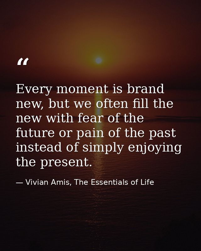 Every moment is brand new, but we often fill the new with fear of the future or pain of the past instead of simply enjoy — Vivian Amis, The Essentials of Life