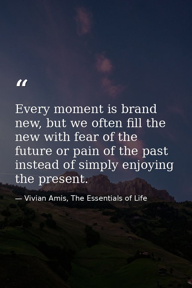 Every moment is brand new, but we often fill the new with fear of the future or pain of the past instead of simply enjoy — Vivian Amis, The Essentials of Life