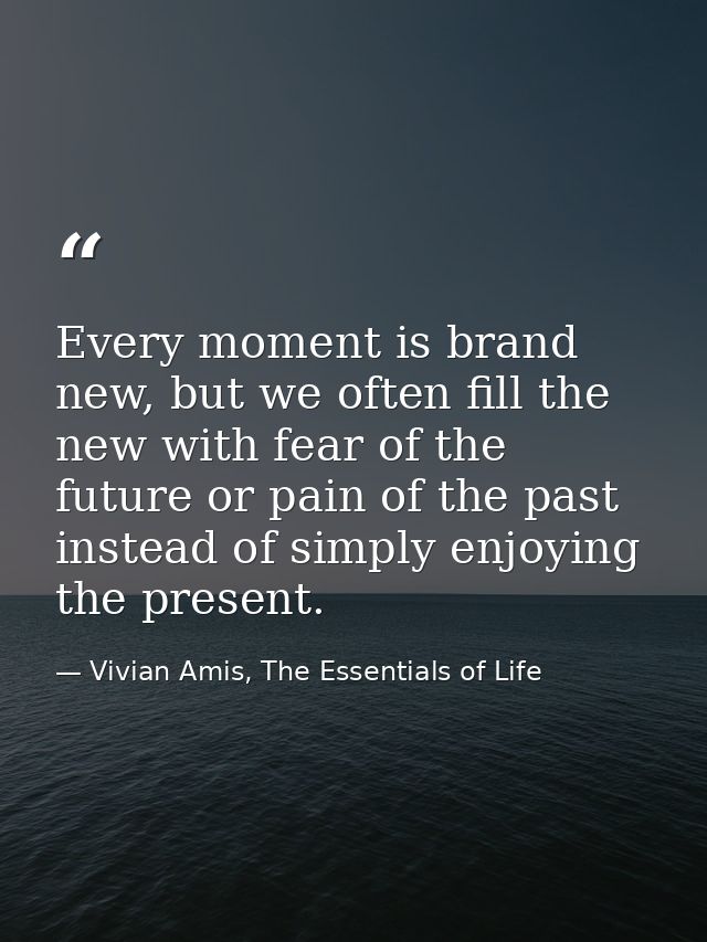 Every moment is brand new, but we often fill the new with fear of the future or pain of the past instead of simply enjoy — Vivian Amis, The Essentials of Life