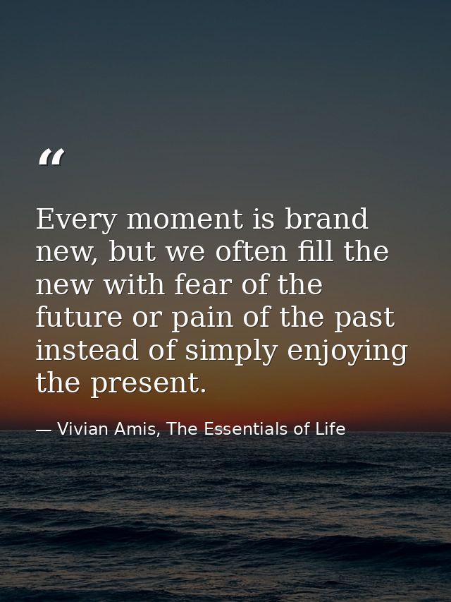 Every moment is brand new, but we often fill the new with fear of the future or pain of the past instead of simply enjoy — Vivian Amis, The Essentials of Life