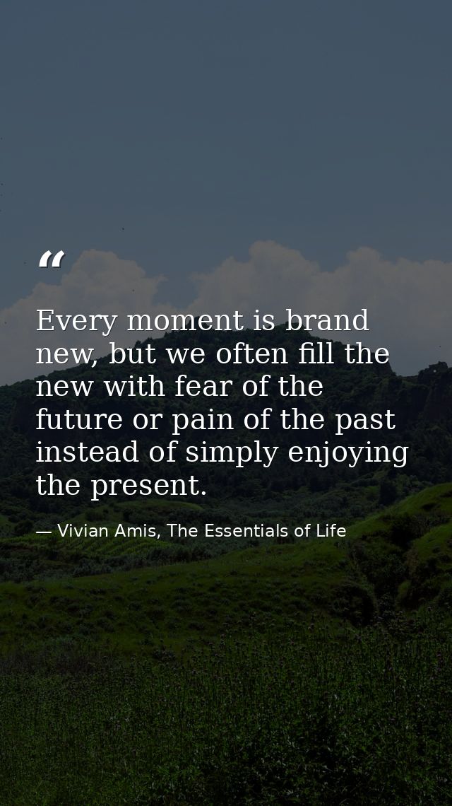Every moment is brand new, but we often fill the new with fear of the future or pain of the past instead of simply enjoy — Vivian Amis, The Essentials of Life