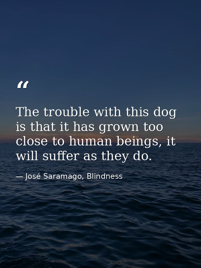 The trouble with this dog is that it has grown too close to human beings, it will suffer as they do. — José Saramago, Blindness