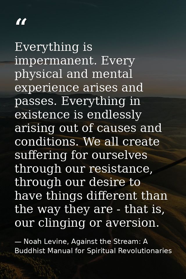 Everything is impermanent. Every physical and mental experience arises and passes. Everything in existence is endlessly  — Noah Levine, Against the Stream: A Buddhist Manual for Spiritual Revolutionaries