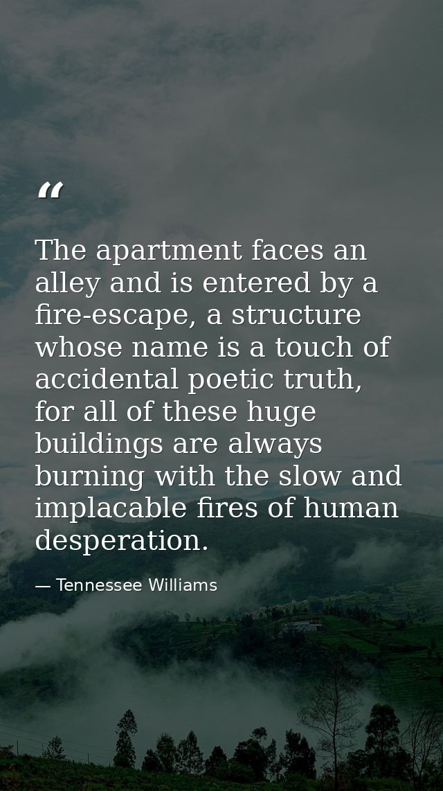 The apartment faces an alley and is entered by a fire-escape, a structure whose name is a touch of accidental poetic tru — Tennessee Williams