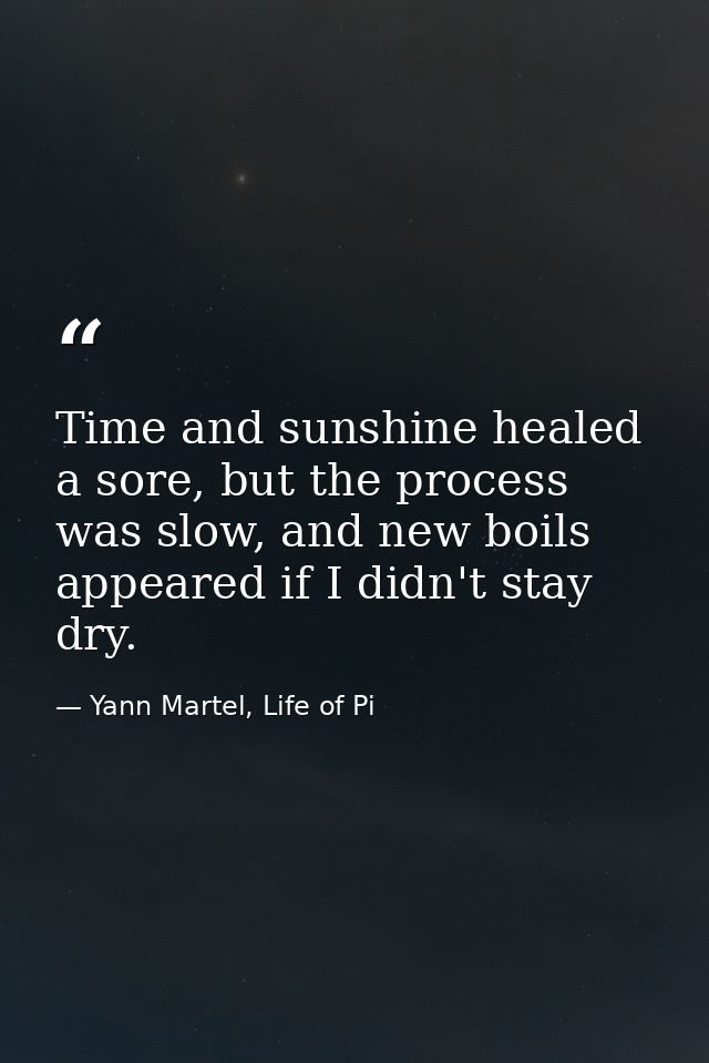 Time and sunshine healed a sore, but the process was slow, and new boils appeared if I didn't stay dry. — Yann Martel, Life of Pi
