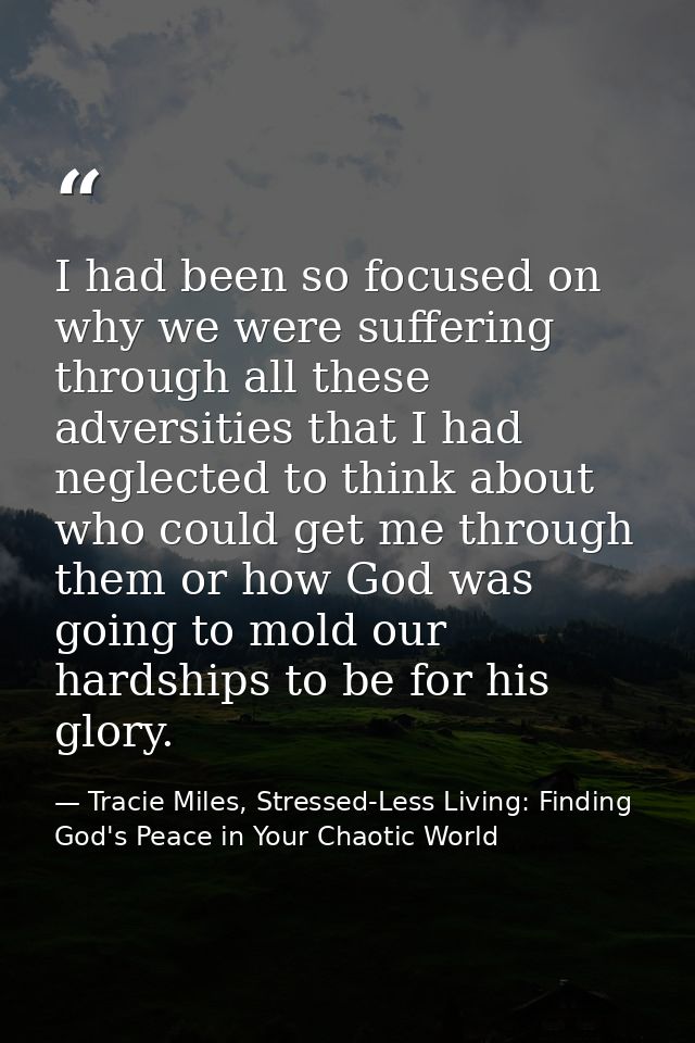 I had been so focused on why we were suffering through all these adversities that I had neglected to think about who cou — Tracie Miles, Stressed-Less Living: Finding God's Peace in Your Chaotic World