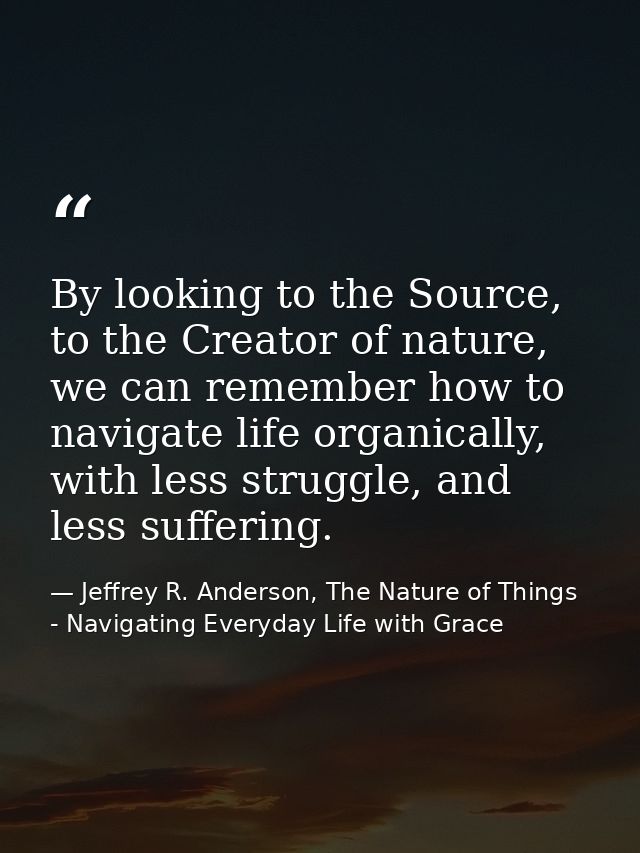 By looking to the Source, to the Creator of nature, we can remember how to navigate life organically, with less struggle — Jeffrey R. Anderson, The Nature of Things - Navigating Everyday Life with Grace