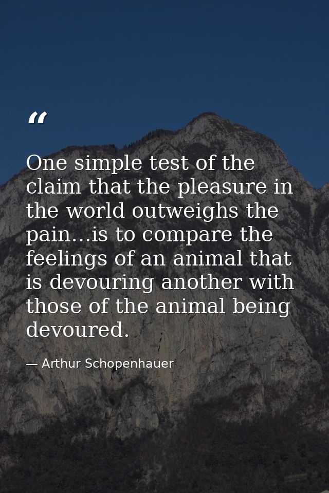 One simple test of the claim that the pleasure in the world outweighs the pain…is to compare the feelings of an animal t — Arthur Schopenhauer