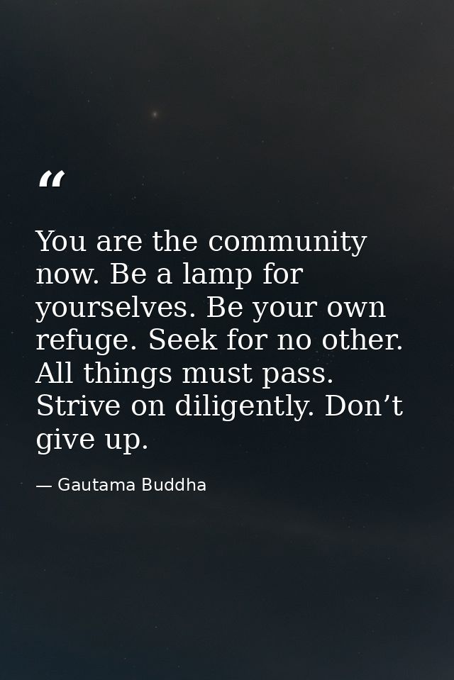 You are the community now. Be a lamp for yourselves. Be your own refuge. Seek for no other. All things must pass. Strive — Gautama Buddha