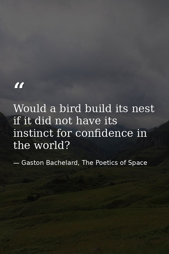 Would a bird build its nest if it did not have its instinct for confidence in the world? — Gaston Bachelard, The Poetics of Space