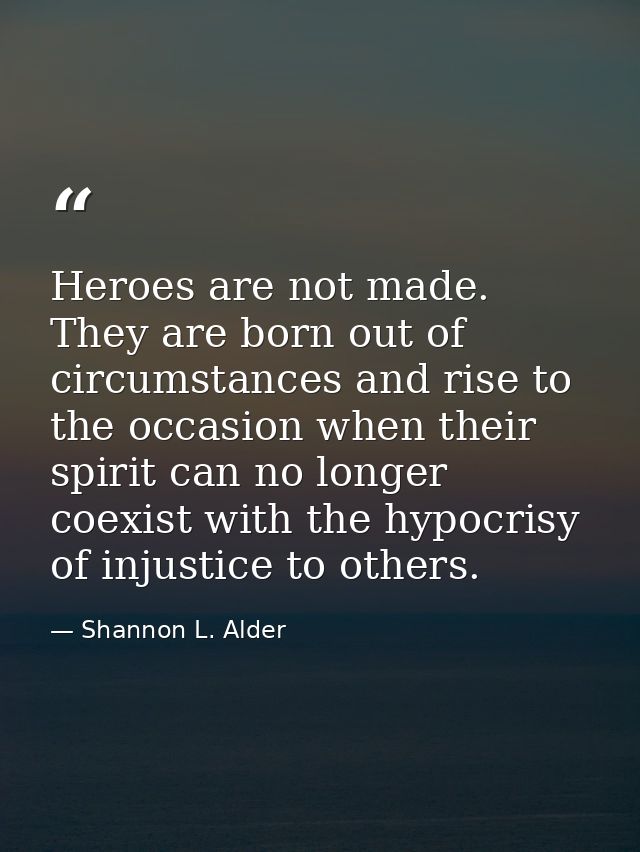 Heroes are not made. They are born out of circumstances and rise to the occasion when their spirit can no longer coexist — Shannon L. Alder