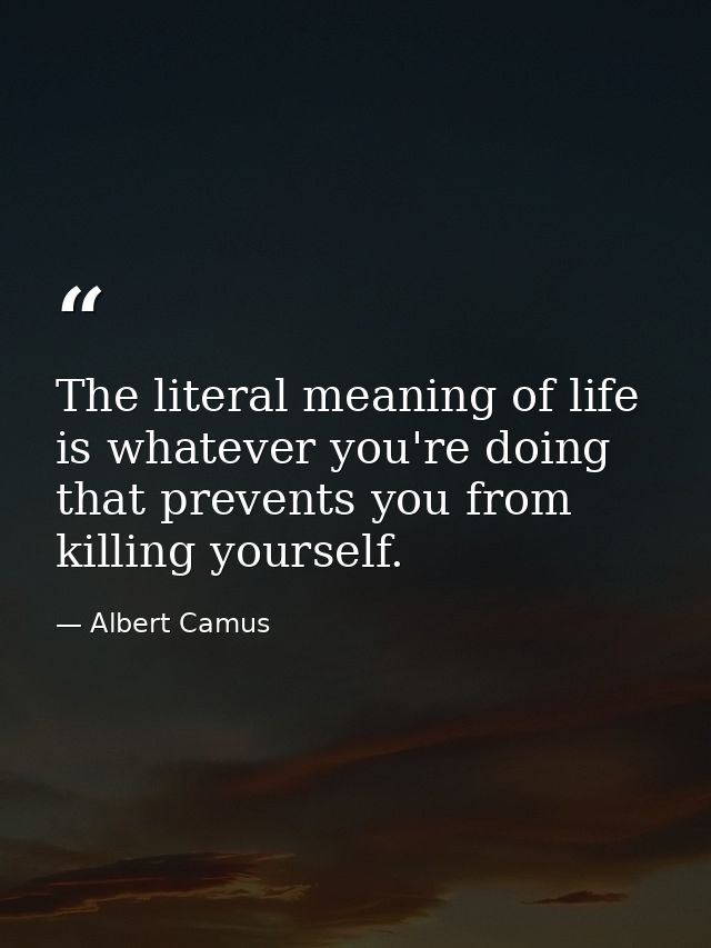 The literal meaning of life is whatever you're doing that prevents you from killing yourself. — Albert Camus