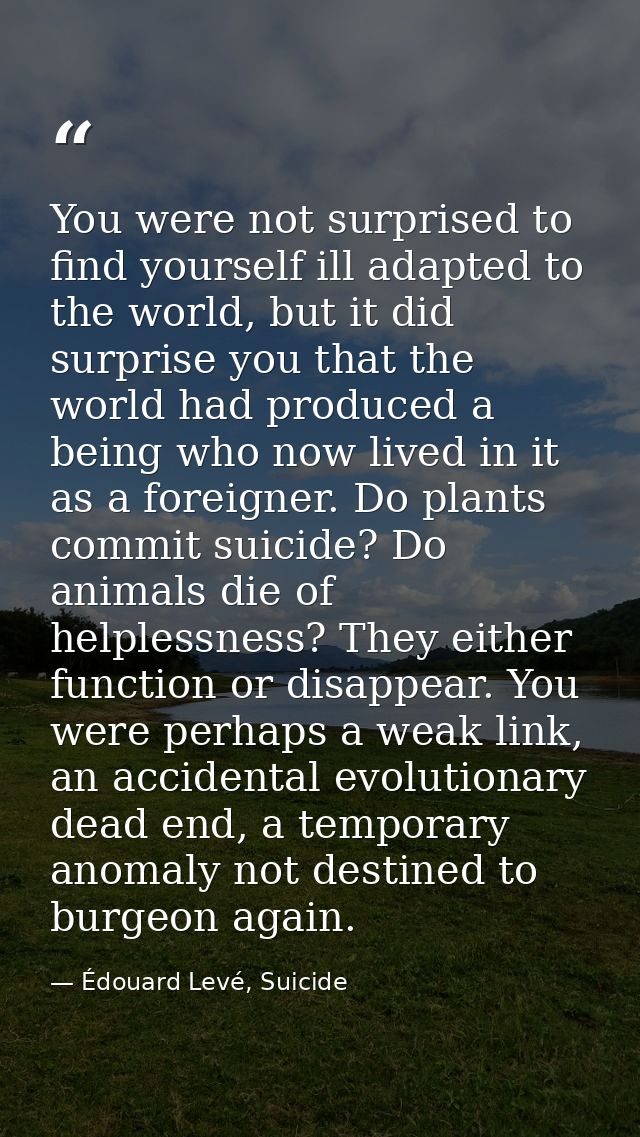 You were not surprised to find yourself ill adapted to the world, but it did surprise you that the world had produced a  — Édouard Levé, Suicide