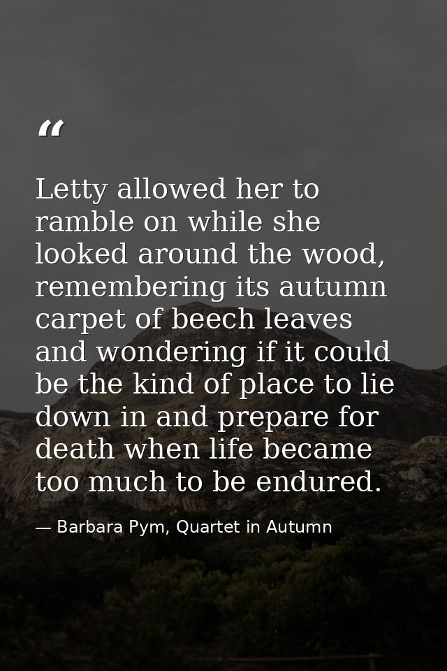 Letty allowed her to ramble on while she looked around the wood, remembering its autumn carpet of beech leaves and wonde — Barbara Pym, Quartet in Autumn
