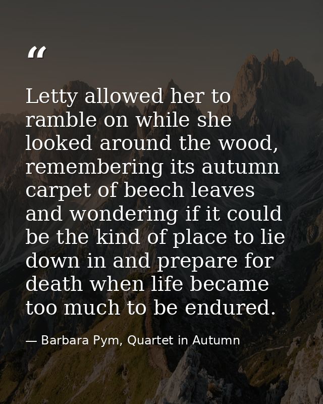 Letty allowed her to ramble on while she looked around the wood, remembering its autumn carpet of beech leaves and wonde — Barbara Pym, Quartet in Autumn