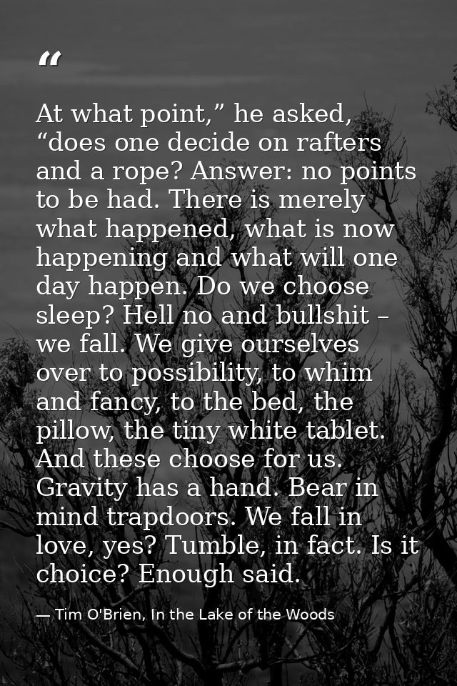 At what point,” he asked, “does one decide on rafters and a rope? Answer: no points to be had. There is merely what happ — Tim O'Brien, In the Lake of the Woods