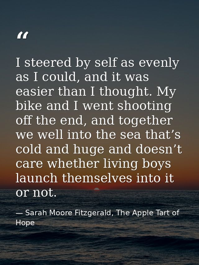 I steered by self as evenly as I could, and it was easier than I thought. My bike and I went shooting off the end, and t — Sarah Moore Fitzgerald, The Apple Tart of Hope