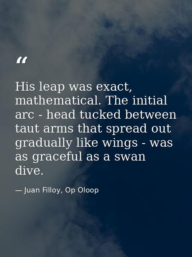 His leap was exact, mathematical. The initial arc - head tucked between taut arms that spread out gradually like wings - — Juan Filloy, Op Oloop