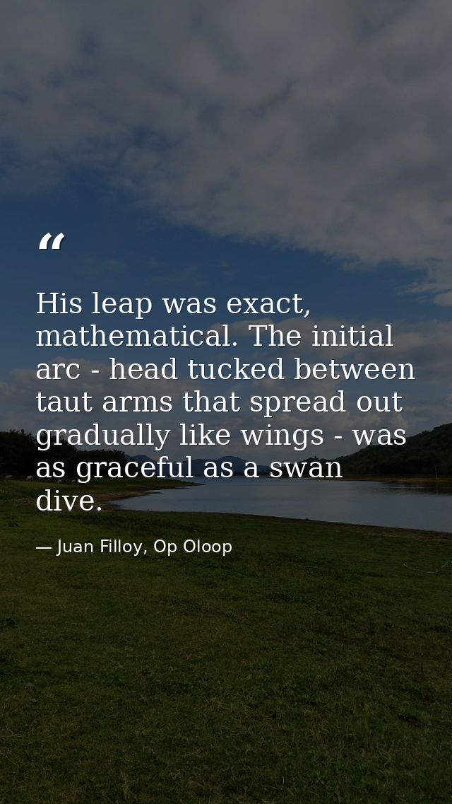 His leap was exact, mathematical. The initial arc - head tucked between taut arms that spread out gradually like wings - — Juan Filloy, Op Oloop