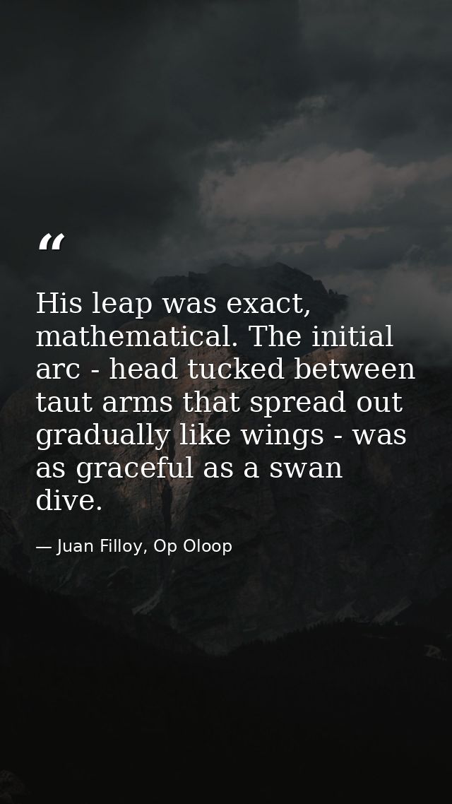 His leap was exact, mathematical. The initial arc - head tucked between taut arms that spread out gradually like wings - — Juan Filloy, Op Oloop