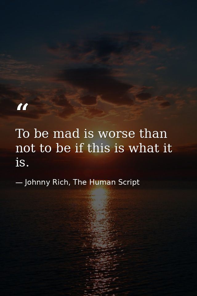To be mad is worse than not to be if this is what it is. — Johnny Rich, The Human Script