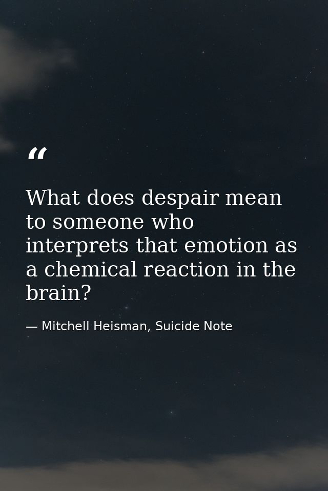 What does despair mean to someone who interprets that emotion as a chemical reaction in the brain? — Mitchell Heisman, Suicide Note