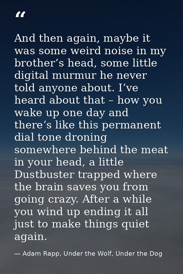 And then again, maybe it was some weird noise in my brother’s head, some little digital murmur he never told anyone abou — Adam Rapp, Under the Wolf, Under the Dog