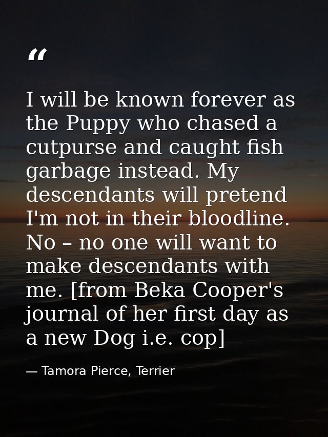 I will be known forever as the Puppy who chased a cutpurse and caught fish garbage instead. My descendants will pretend  — Tamora Pierce, Terrier