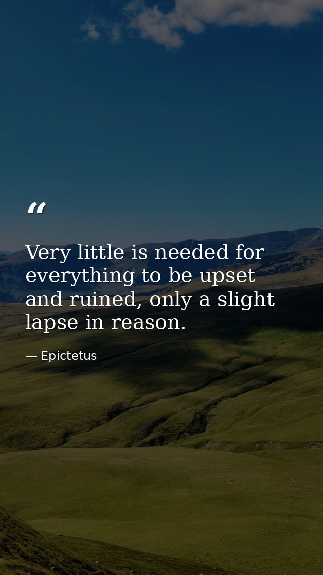 Very little is needed for everything to be upset and ruined, only a slight lapse in reason. — Epictetus