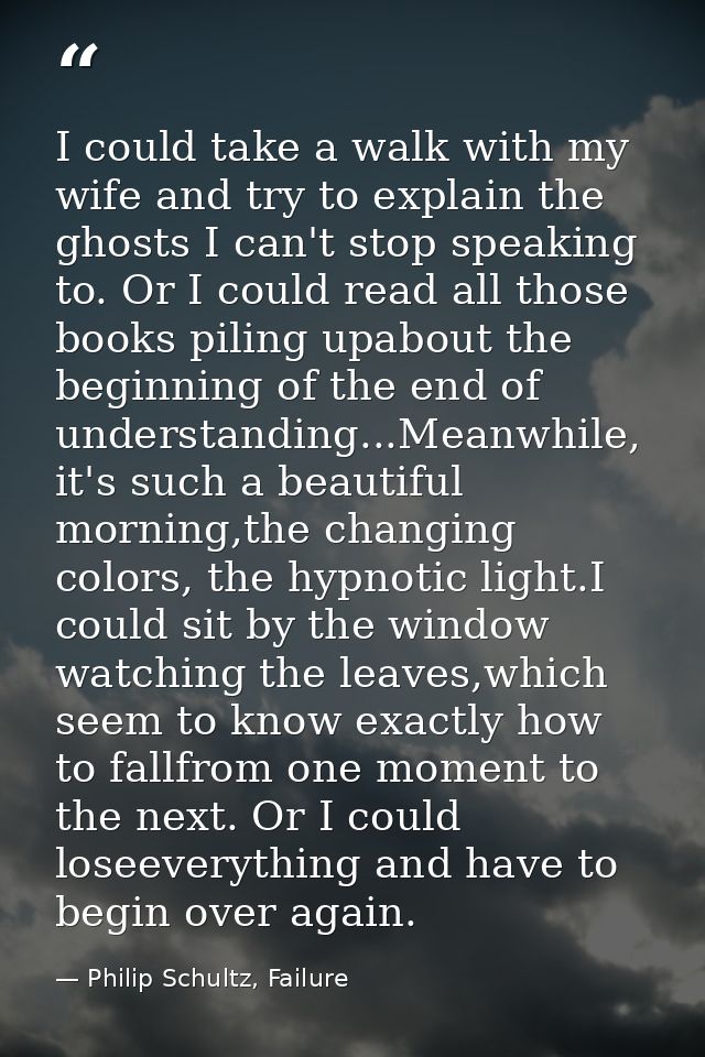I could take a walk with my wife and try to explain the ghosts I can't stop speaking to. Or I could read all those books — Philip Schultz, Failure