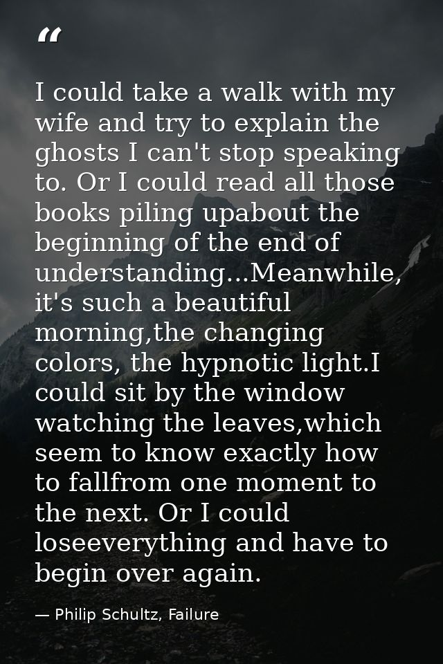 I could take a walk with my wife and try to explain the ghosts I can't stop speaking to. Or I could read all those books — Philip Schultz, Failure