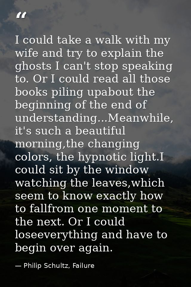 I could take a walk with my wife and try to explain the ghosts I can't stop speaking to. Or I could read all those books — Philip Schultz, Failure