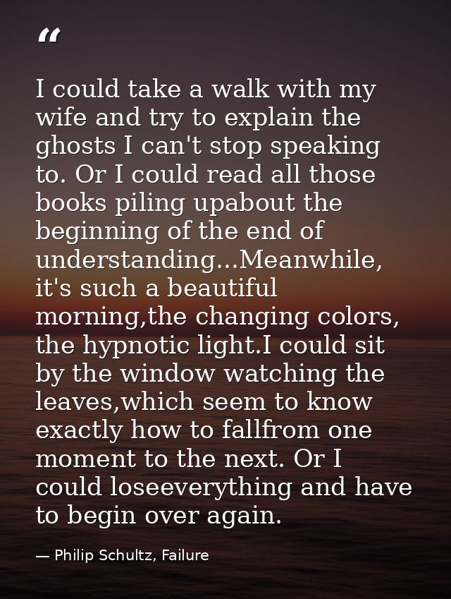 I could take a walk with my wife and try to explain the ghosts I can't stop speaking to. Or I could read all those books — Philip Schultz, Failure