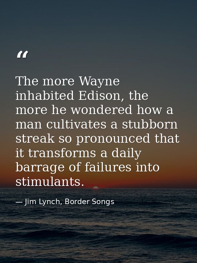 The more Wayne inhabited Edison, the more he wondered how a man cultivates a stubborn streak so pronounced that it trans — Jim Lynch, Border Songs