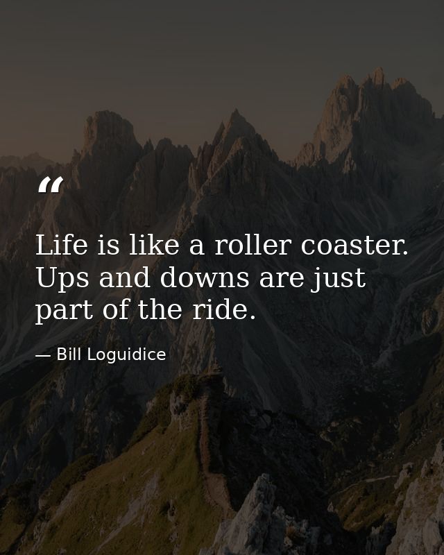 Life is like a roller coaster. Ups and downs are just part of the ride. — Bill Loguidice