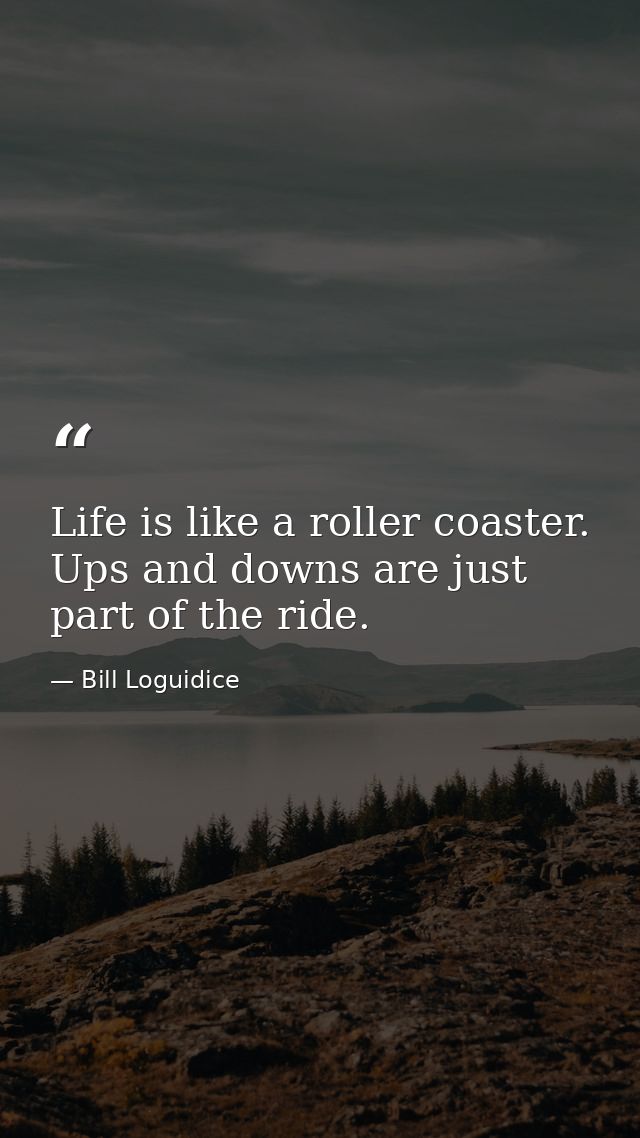 Life is like a roller coaster. Ups and downs are just part of the ride. — Bill Loguidice