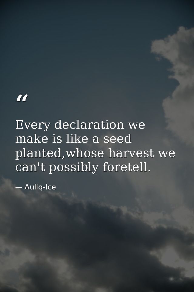 Every declaration we make is like a seed planted,whose harvest we can't possibly foretell. — Auliq-Ice