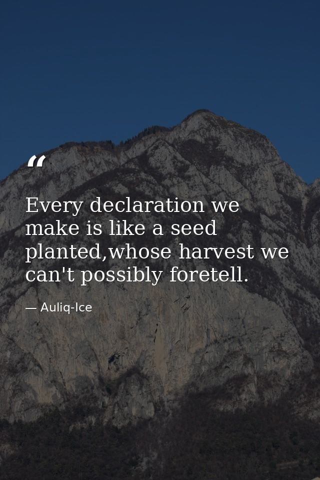 Every declaration we make is like a seed planted,whose harvest we can't possibly foretell. — Auliq-Ice