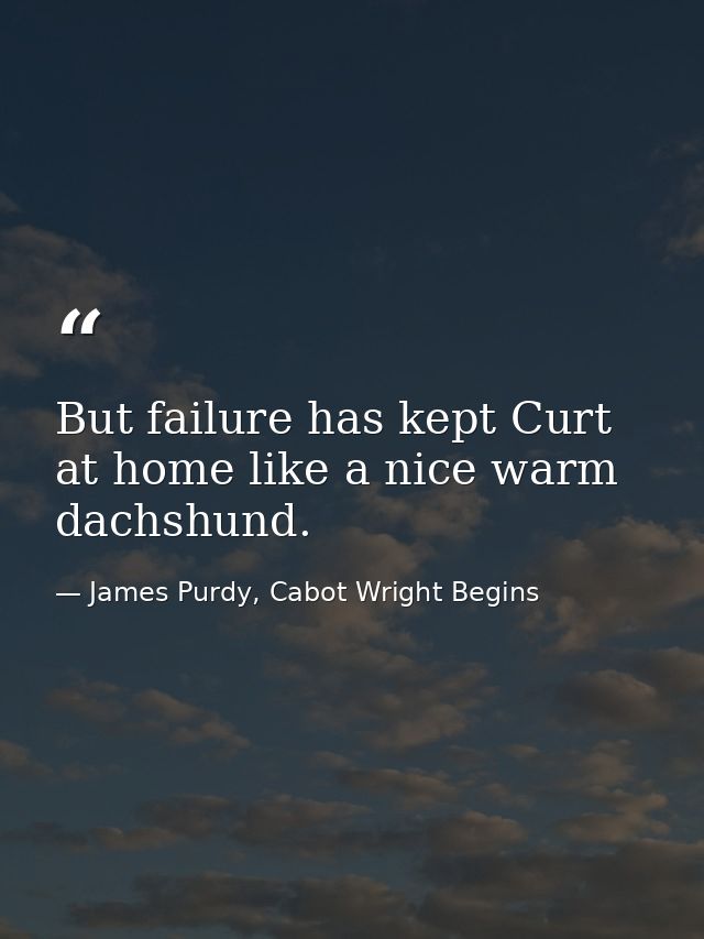 But failure has kept Curt at home like a nice warm dachshund. — James Purdy, Cabot Wright Begins